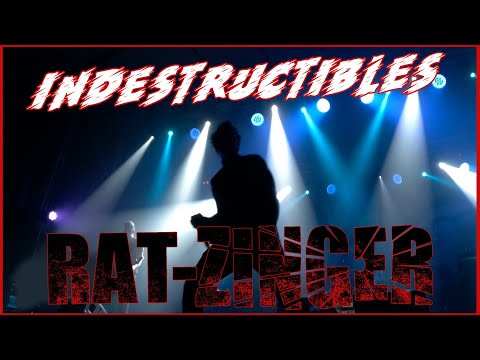 RAT ZINGER -Indestructibles 🔥PINTOR ROCK 2022🔥 #eldirectomasanimal #ratzinger #indestructibles