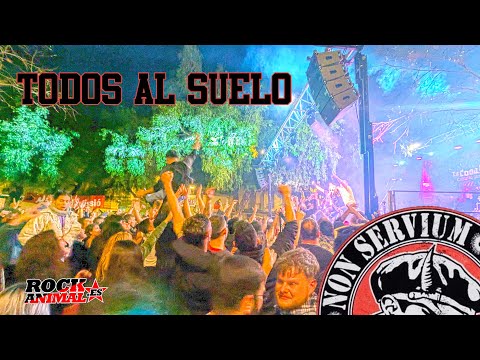 NON SERVIUM -Todos al suelo 🔥☭ Magdalena combativa 2025 ☭🔥 #directo