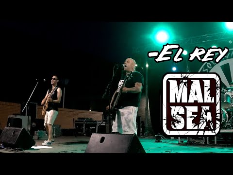 MAL SEA -El rey 🔥SOLANA ROCK 2022🔥 #eldirectomasanimal #malsea #elrey #directo