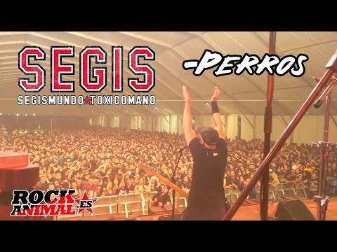 SEGIS -Perros 🔥PINTOR ROCK 2022🔥 #eldirectomasanimal #segis #perros #directo